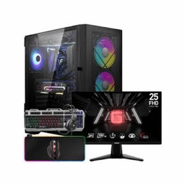 SETUP GAMER R5 5600X/RX6700XT/16Go/1To + G255F + HPG100